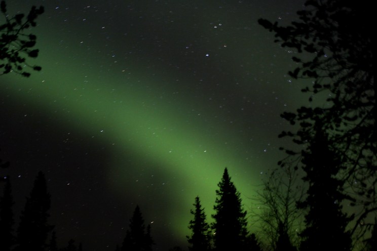 IMG_8518 - Version 2