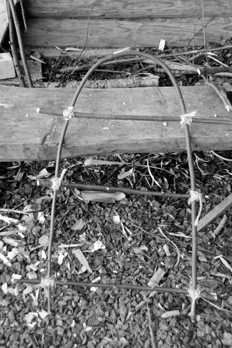 IMG_8687 - Version 2