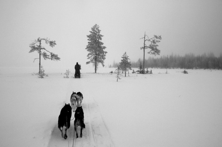 IMG_9432 - Version 4