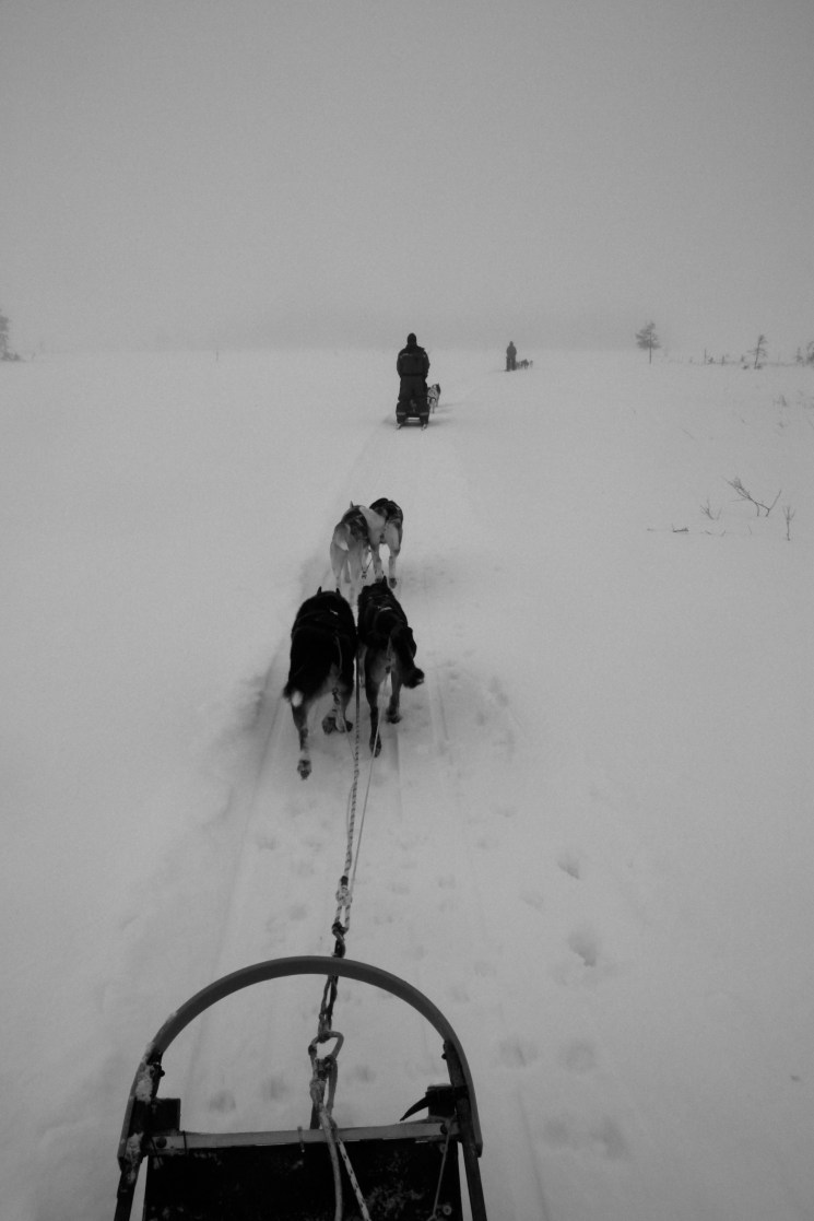 IMG_9437 - Version 2