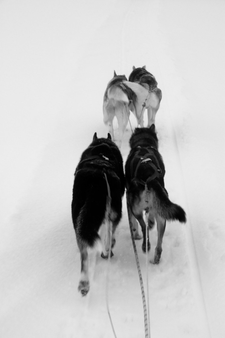 IMG_9443 - Version 2