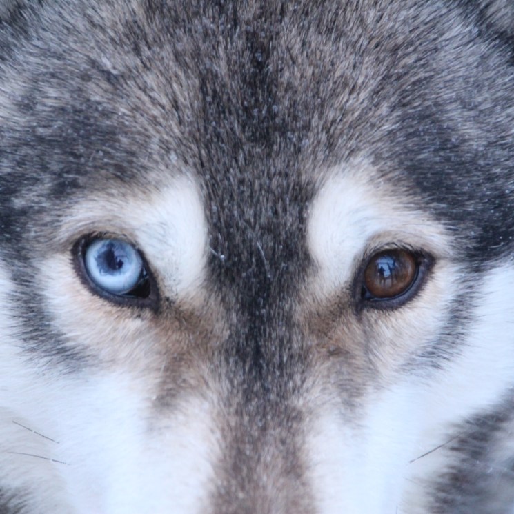 IMG_9478 - Version 2