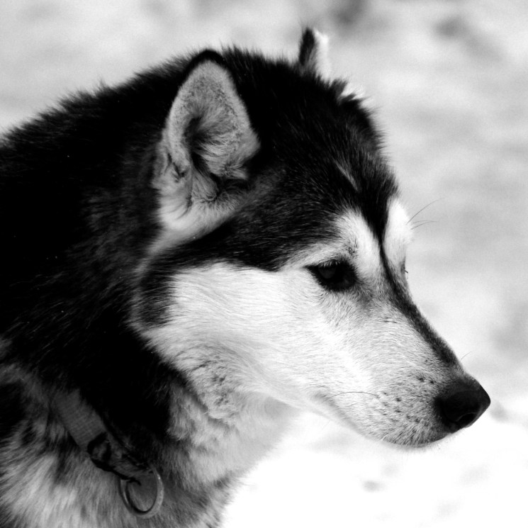 IMG_9521 - Version 3