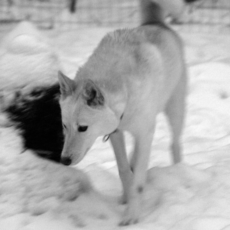 IMG_9680 - Version 2