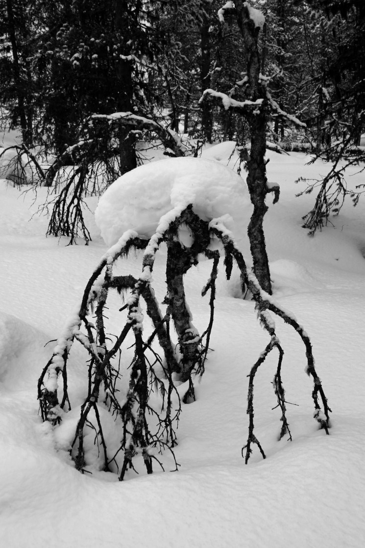 IMG_1805 - Version 2